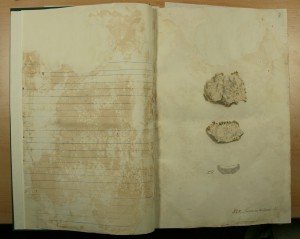 Papierrestaurierung-Buchrestaurierung