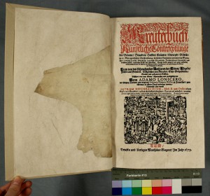 Papierrestaurierung-Buchrestaurierung
