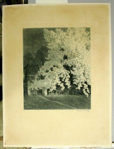 restaurierung von druckgraphik graphikrestaurierung