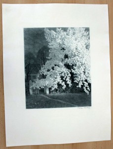 restaurierung von druckgraphik graphikrestaurierung