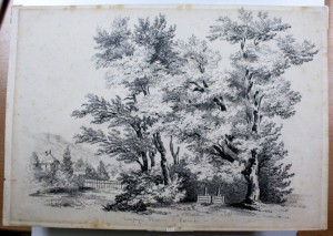 Restaurierung von Zeichnungen, Aquarellen, Pastellen und Malerei