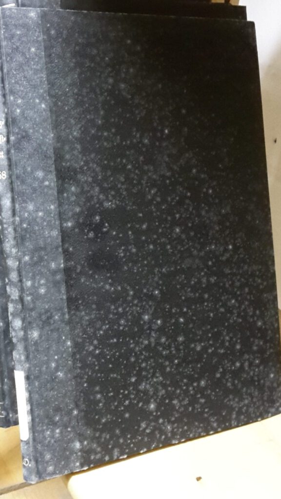 Weißer, punktförmiger Schimmelbefall (Eurotium) auf einem dunklen Bucheinband durch Staubablagerungen und Feuchtigkeit.