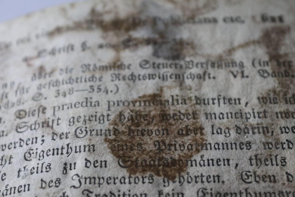 Detailansicht von dunklem, punktförmigem Schimmelbefall auf Papier mit Anzeichen von Cladosporium-Wuchsbild